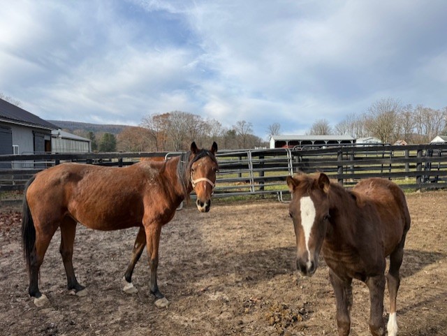 Wedding Venue Receptions Corporate Events Banquets Albany NY