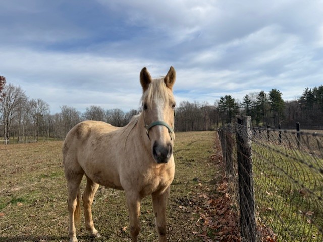 Wedding Venue Receptions Corporate Events Banquets Albany NY