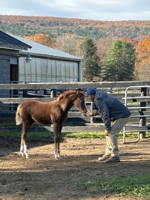Wedding Venue Receptions Corporate Events Banquets Albany NY