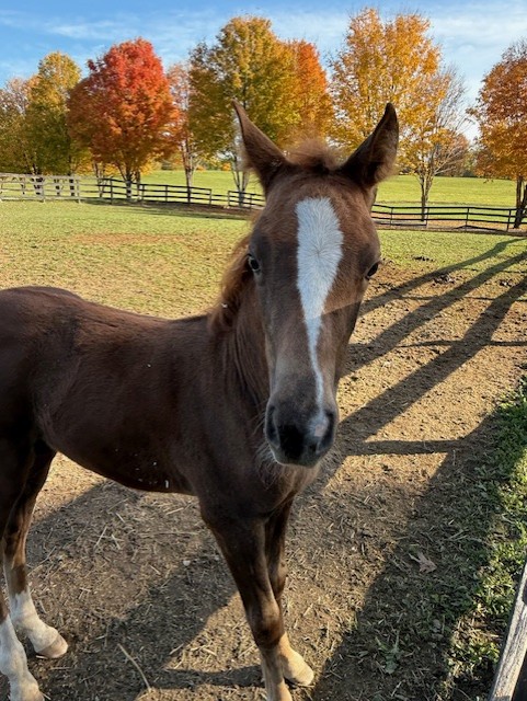 Wedding Venue Receptions Corporate Events Banquets Albany NY