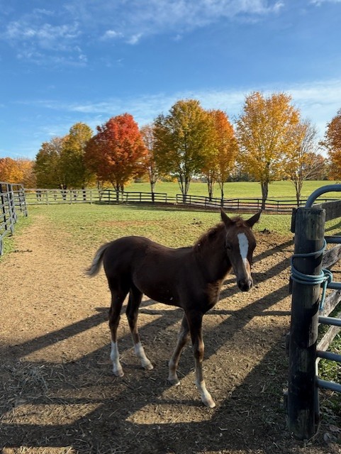 Wedding Venue Receptions Corporate Events Banquets Albany NY