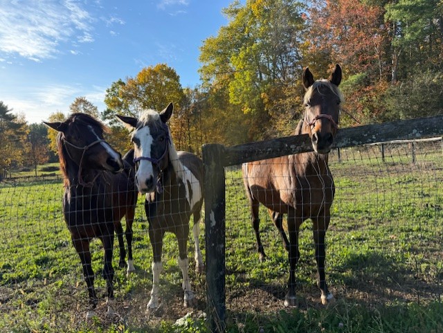 Wedding Venue Receptions Corporate Events Banquets Albany NY