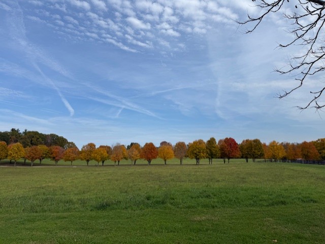 Wedding Venue Receptions Corporate Events Banquets Albany NY