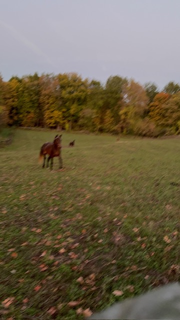 Wedding Venue Receptions Corporate Events Banquets Albany NY