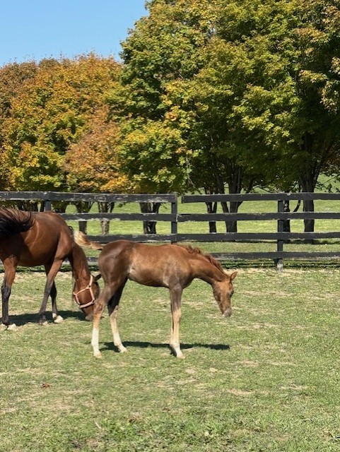 Wedding Venue Receptions Corporate Events Banquets Albany NY