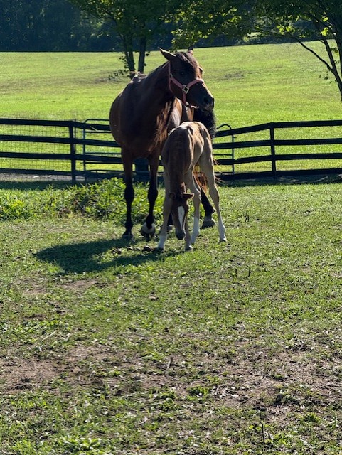 Wedding Venue Receptions Corporate Events Banquets Albany NY