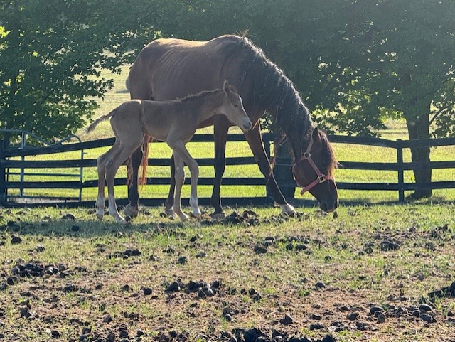 Wedding Venue Receptions Corporate Events Banquets Albany NY