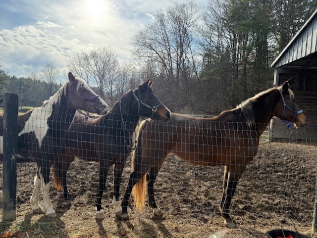 Wedding Venue Receptions Corporate Events Banquets Albany NY