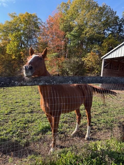 Wedding Venue Receptions Corporate Events Banquets Albany NY